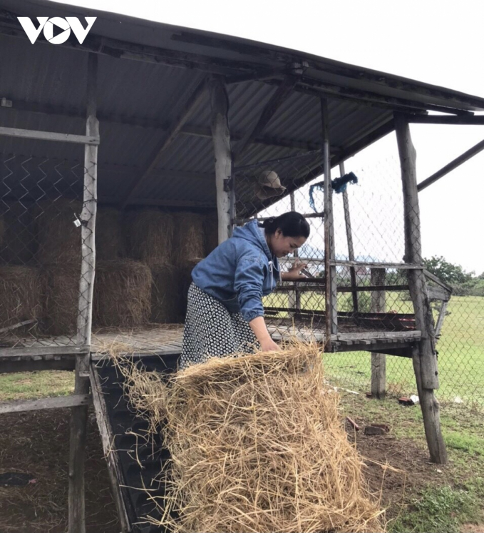 Mỗi ngày, chị Toán dành khoảng 2 tiếng ở trang trại cừu.