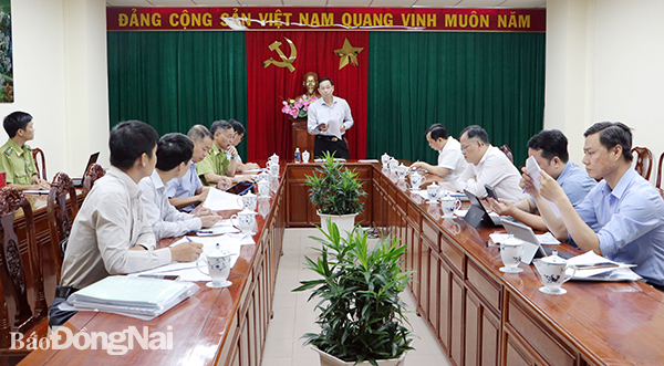 Phó chủ tịch UBND tỉnh Võ Văn Phi phát biểu tại buổi làm việc
