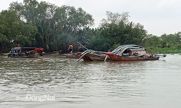 Tiến hành trục vớt các ghe khai thác cát trái phép bị nhấn chìm