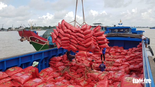 Việc nhập khẩu gạo có thể ảnh hưởng tới an ninh lương thực theo Bộ Công Thương - Ảnh: BỬU ĐẤU