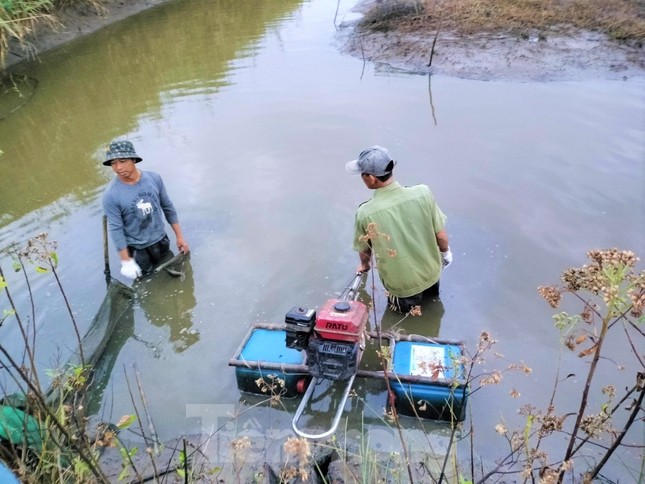 Để bắt được tôm, chủ vuông phải dùng máy chạy sục bùn dưới đáy vuông để làm đục nước, khiến cho tôm bị thiếu ô xy tấp vào 2 mép bờ vuông. Cứ thế, những thanh niên được phân công bắt tôm ở phía sau tha hồ chụp tôm bỏ vào thùng xốp hoặc bao đựng mang theo.