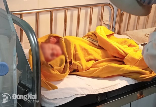 Sức khỏe bé gái sơ sinh bị bỏ rơi đã ổn định và đang được chăm sóc tại Bệnh viện nhi đồng Đồng Nai. (Nguồn: Báo Đồng Nai)