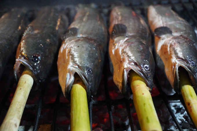 Theo nhiều chủ cửa hàng bán cá lóc trên đường Tân Kỳ - Tân Quý, cá lóc tươi được mua từ chợ đầu mối Bình Điền (quận 8) về, có trọng lượng trung bình từ 1,2 - 1,5 kg.