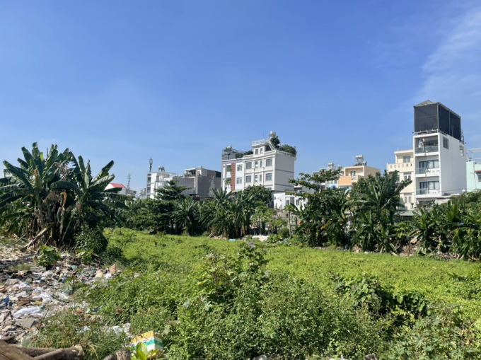 Một đoạn kênh Tham Lương đầy cỏ dại, lục bình và rác thải. Ảnh: Minh Quân
