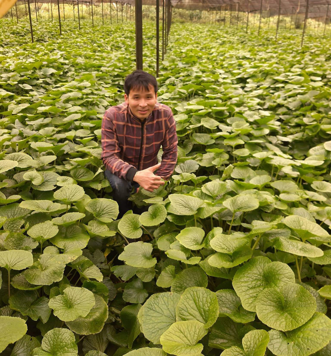 Anh Tuyển tại vườn wasabi của mình ở Đà Lạt (Ảnh: NVCC)