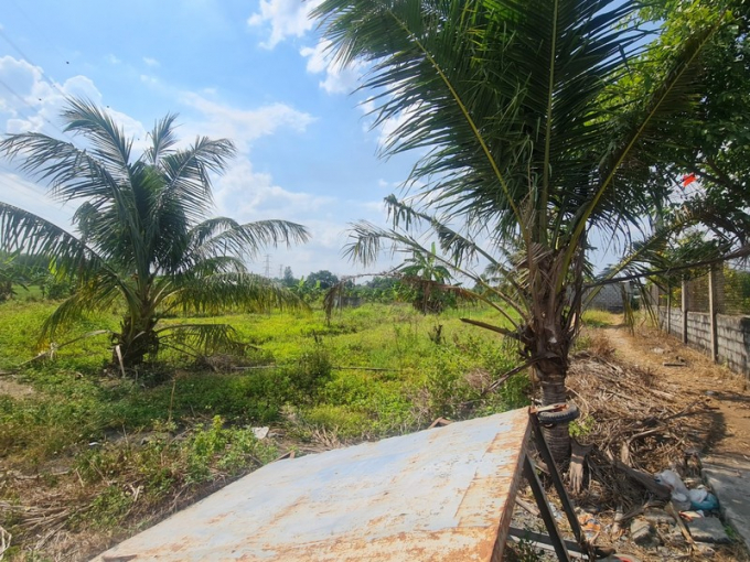 Thửa đất 463 tờ 19 xã Thiện Tân được quy hoạch một con đường đi dọc thửa đất, phù hợp với quy định tách thửa hiện hành của tỉnh Đồng Nai là phải giáp đường giao thông mặc dù hiện trạng đất không có đường giao thông hiện hữu, một phần thửa đất nằm dưới đường điện cao thế
