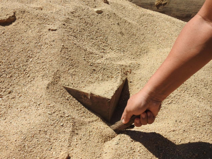 Số gỗ lậu được giấu vùi trong cát