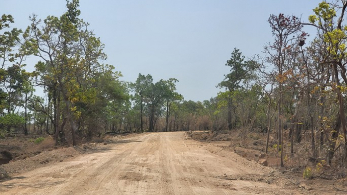 Con đường chừng 2km được san ủi đi vào cánh đồng Đầm Hươu