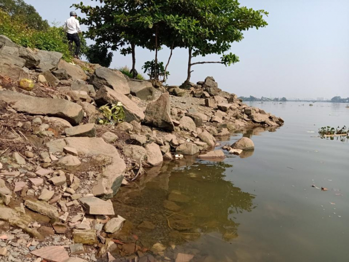 Hiện trạng dòng sông Đồng Nai hiện nay (tháng 3/2023), nơi tiến hành dự án, đất đá lô nhô nhấn chìm dòng sông, đã nhiều năm nay cây rừng đã mọc lên cao.