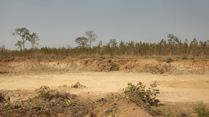 Một góc khu vực rừng sản xuất bị múc đất (ảnh: Nguyễn Thảo).