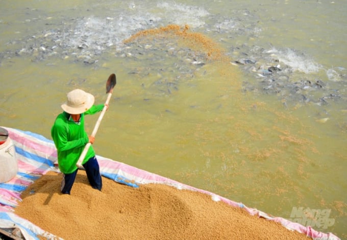 Giá cá tra đang ở mức cao nhưng người nuôi đạt lợi nhuận thấp, bởi giá thành nuôi gần bằng với giá bán ra, trong khi đó giá thức ăn có dấu hiệu tiếp tục tăng đã gây áp lực cho người nuôi.