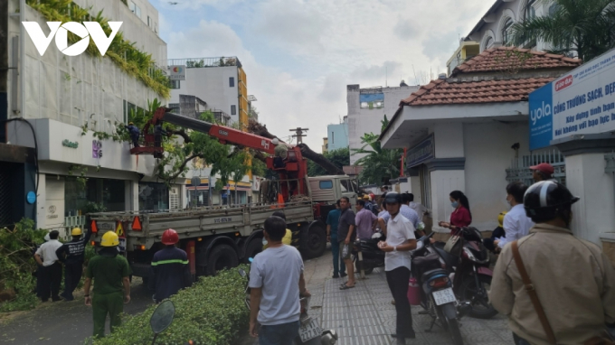Cơ quan chức năng phong tỏa hiện trường nơi cây xanh bị đổ