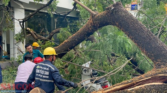 Lực lượng chức năng tại hiện trường. Ảnh: CHÍ THẠCH