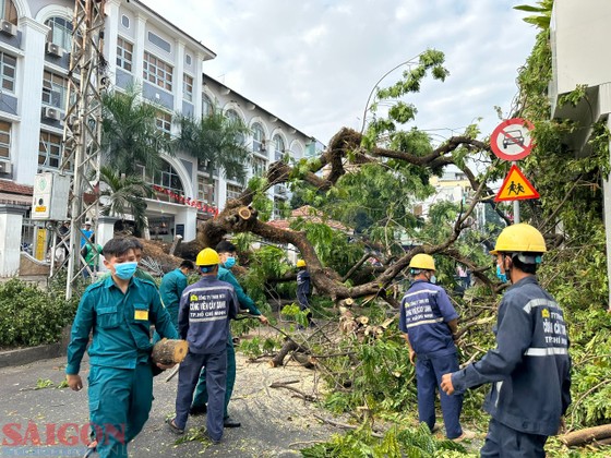 Hình ảnh phóng viên Báo SGGP ghi nhận tại hiện trường. Ảnh: CHÍ THẠCH