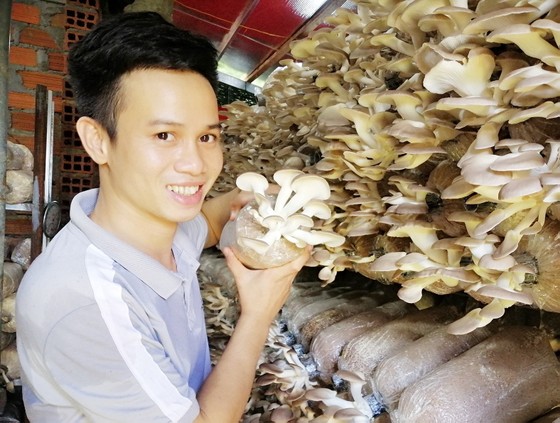 Anh Nguyễn Xuân Truyện với mô hình sản xuất nấm của mình. Ảnh: XUÂN HUYÊN