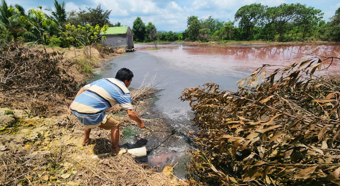 Phân heo đặc quánh tại hồ chứa chất thải bốc mùi hôi thối khiến cuộc sống hàng trăm hộ dân bị đảo lộn