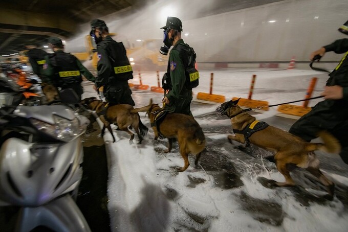 Lực lượng Cảnh sát cơ động đưa chó nghiệp vụ vào hoạt động tìm kiếm, cứu hộ.