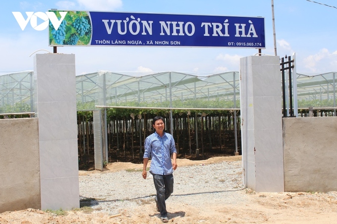Anh Nguyễn Đình Trí, chủ vườn nho Trí Hà