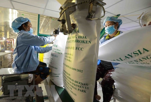 Đóng bao sản phẩm gạo xuất khẩu của Công ty TNHH gạo Vinh Phát ở thành phố Long Xuyên (An Giang). (Ảnh: Vũ Sinh/TTXVN)