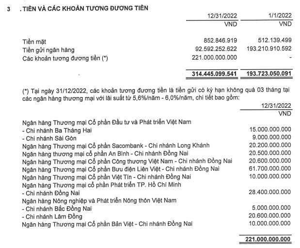 Các khoản tương đương tiền chính là tiền gửi có kỳ hạn dưới 3 tháng (với lãi suất từ 5,6 – 6,0%/năm) là 221 tỷ đồng, trong khi tiền gửi không kỳ hạn là hơn 92,5 tỷ đồng.