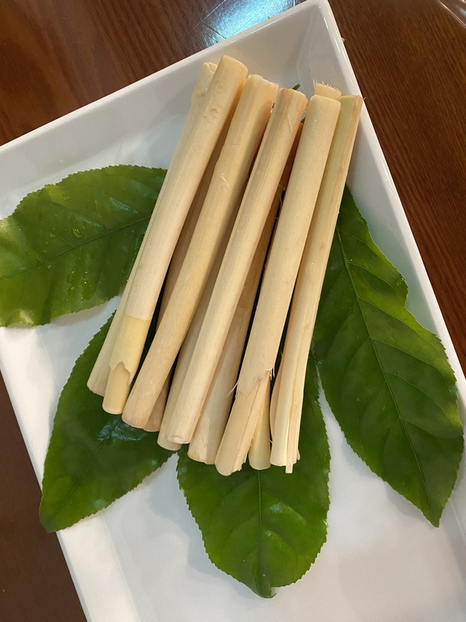 Đọt mây và lá nhíp