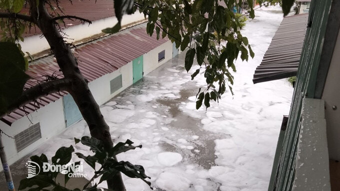 Khu dân cư tại khu phố Cầu Hang phường Hóa An TP. Biên Hòa tỉnh Đồng Nai ngập nước với dòng bọt trắng xóa phủ kín
