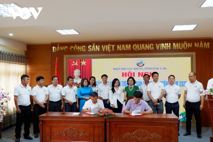 Hiệp hội sầu riêng tỉnh Đắk Lắk đã ký kết bản ghi nhớ với Viện phát triển kinh tế nông nghiệp