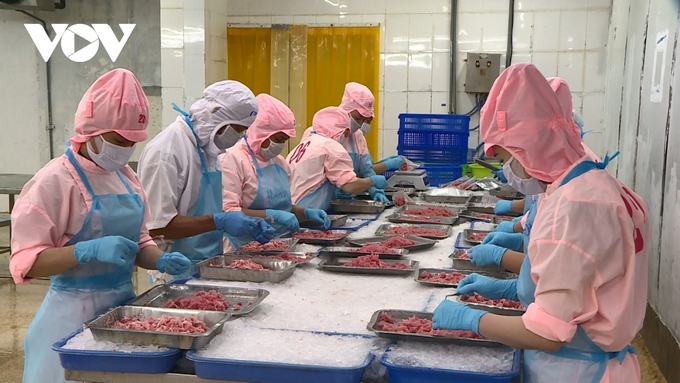 Mỹ không còn là thị trường thủy sản số 1 của Việt Nam trong quý II năm 2023 (Ảnh minh họa)