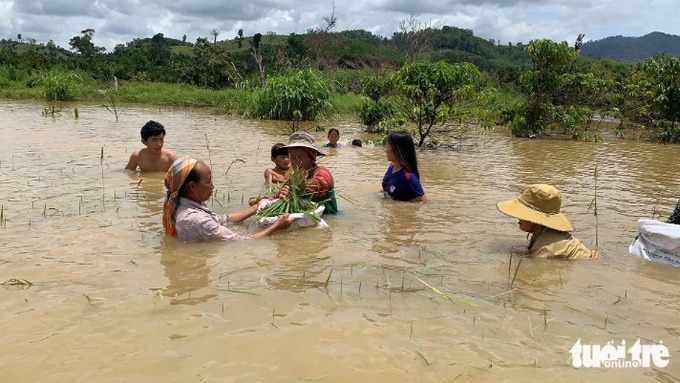 Hồ thủy lợi Đắk Ngo 100 tỉ đồng đã thi công nhiều năm nay nhưng hiện chỉ tưới cho 7ha lúa - Ảnh: TRUNG TÂN