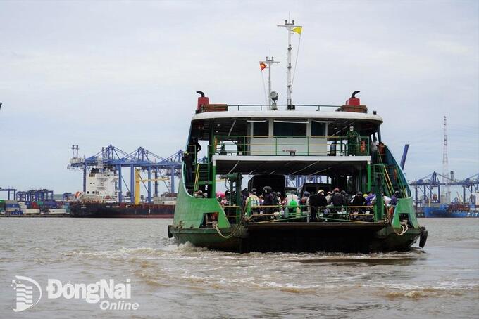 Đồng Nai tiếp tục đề xuất thời gian xây dựng cầu Cát Lái trước năm 2025. Ảnh Phạm Tùng