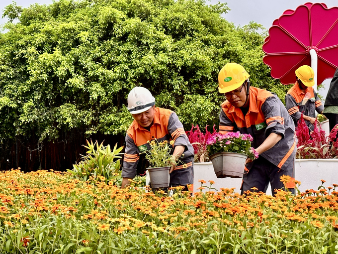 Công nhân UPC lắp đặt các chậu hoa tươi vào tiểu cảnh tại Cô