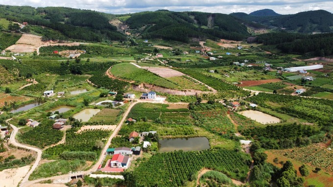 Tỉnh Lâm Đồng sẽ xem xé