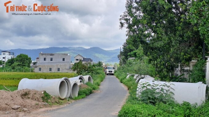 Ảnh Thiên Bảo (ghi nhận ngày 7/8/2023)