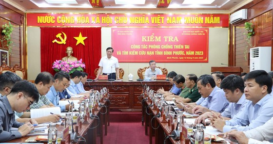 Thứ trưởng Bộ Y tế, thành viên Ban Chỉ đạo quốc gia về phòng chống thiên tai Đỗ Xuân Tuyên phát biểu tại buổi làm việc