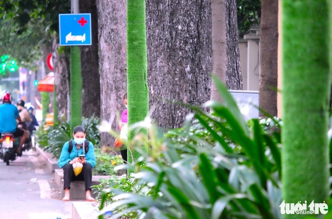 Loạt cột điện được quấn cỏ nhựa trên đường Hồng Bàng, quận 5 - Ảnh: PHƯƠNG NHI