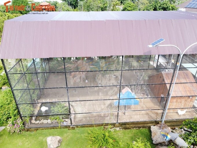 Bên cạnh đó, gia chủ cũng đầu tư khu vực nuôi động vật cũng khá kì công.