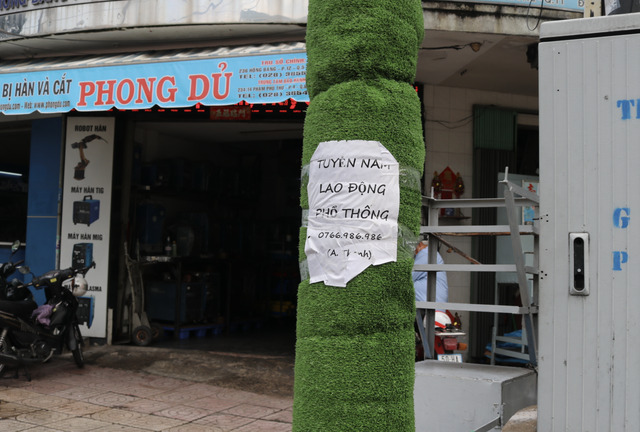 Cột điện được quấn cỏ nhựa chống quảng cáo rao vặt nhưng vẫn bị dán đè lên.