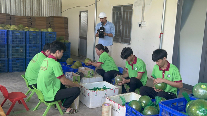 Sơ chế, đóng gói bưởi da xanh tại Công ty TNHH Xuất nhập khẩu trái cây và nông sản Ngân Nguyễn.