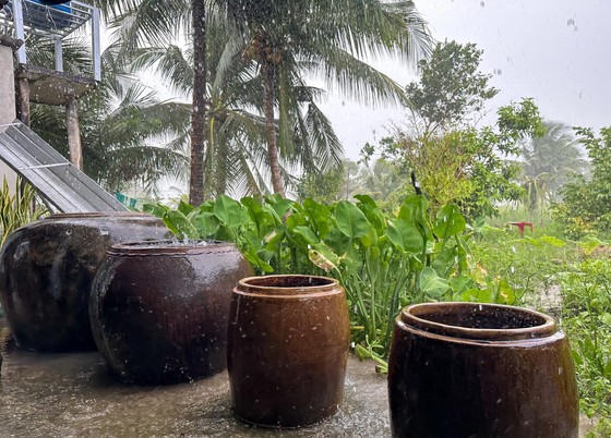 Lu chứa nước mưa thân thuộc ở những miền quê Nam bộ. Ảnh: ĐỖ TÌNH