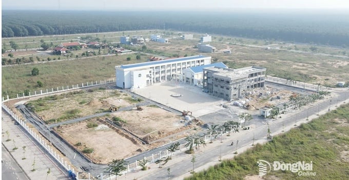 Các nhà thầu đang tập trung thi công đẩy nhanh tiến độ hoàn thành các công trình hạ tầng xã hội tại khu tái định cư Lộc An - Bình Sơn Ảnh: PHẠM TÙNG