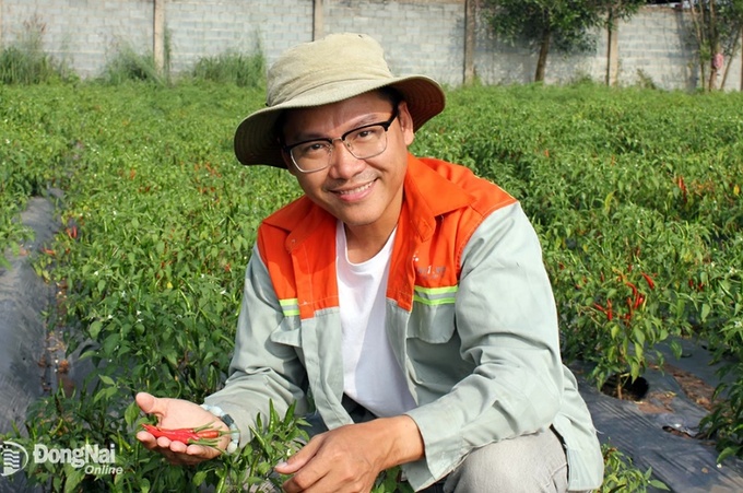 Anh Võ Trí Quang Nguyên giới thiệu sản phẩm ớt hữu cơ của HTX Cây giống bonsai Long Phước (H.Long Thành). Ảnh: B.Nguyên