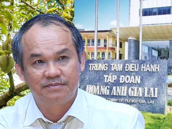 Bầu Đức đang tập trung trồng trái cây và chăn nuôi - Ảnh: HAG
