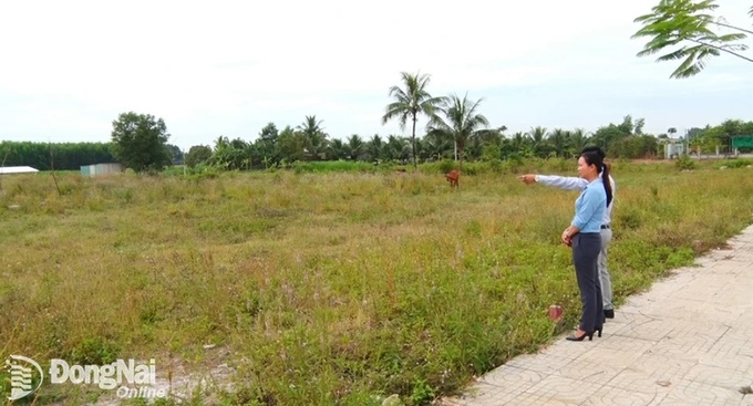 Khu đất trống nơi mà Công ty MinGroup đăng tải thông tin sẽ khởi công xây dựng nhà mẫu ở khu dân cư Min Garden, tại ấp 4, xã Lộ 25, H.Thống Nhất vào sáng 2-12