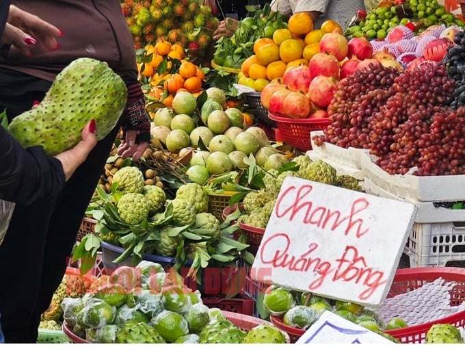 Chanh Quảng Đông giảm giá nhanh khi món trà chanh giã tay hết