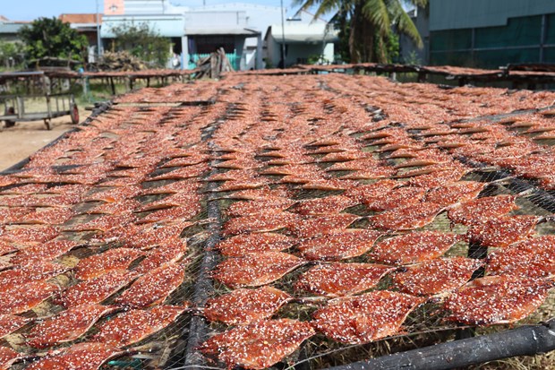 Cá tẩm gia vị phơi khô thuận tiện sử dụng để chế biến món ăn. Ảnh: Nguyễn Thành – TTXVN