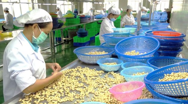 Đối tác Tây Ban Nha nợ tiền hàng: Thương vụ Việt Nam cảnh báo doanh nghiệp.