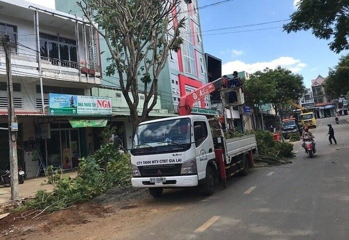 Từ năm 2018 đến nay, Công ty CP Công trình đô thị Gia Lai đã tham gia 19 gói thầu, trúng 16 gói, trượt 2 gói, 1 gói đang chờ kết quả. Tổng giá trị trúng thầu hơn 164,603 tỷ đồng . Ảnh MTĐT