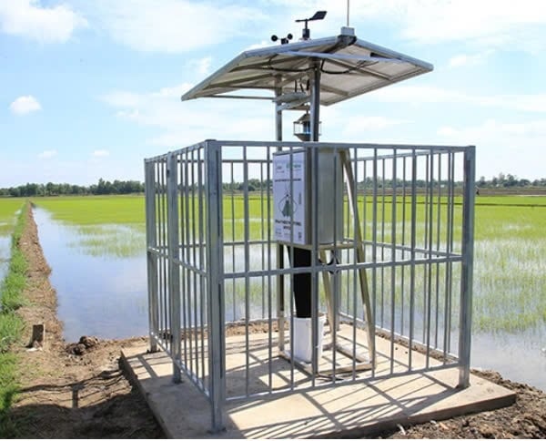 Ảnh: Hệ thống giám sát côn trùng thông minh (Nguồn: RYNAN Technologies)