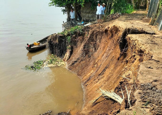 Ảnh: Cồn Hô hiện đang bị sạt lở nghiêm trọng, khiến tỉnh Trà Vinh đã phải công bố tình huống khẩn cấp (Ảnh: Người dân cung cấp)