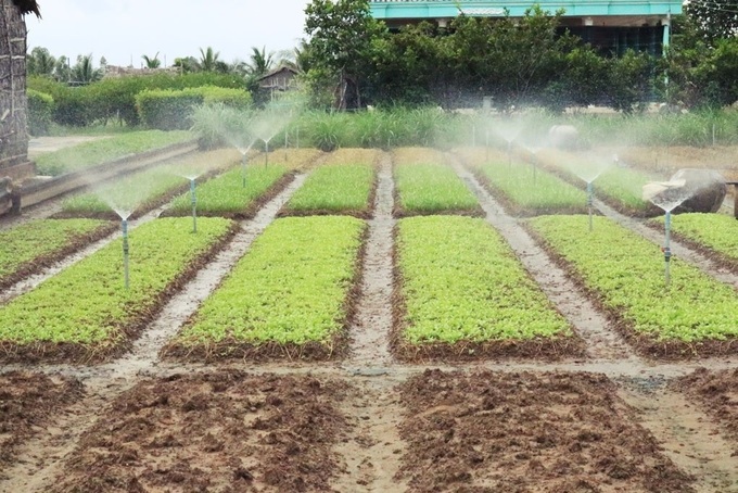 Mô hình tưới nước tiết kiệm nước (Ảnh tư liệu)